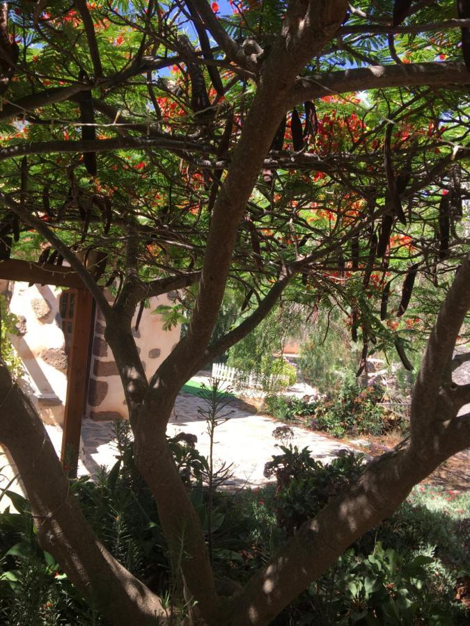Vereda De Las Camellas Hotel Пуерто дел Росарио Екстериор снимка