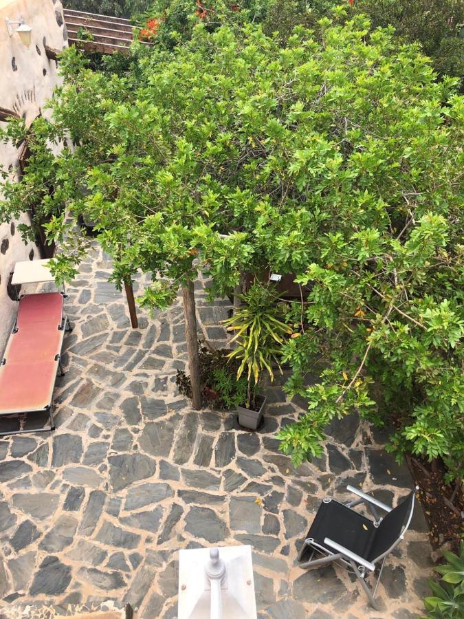 Vereda De Las Camellas Hotel Пуерто дел Росарио Екстериор снимка