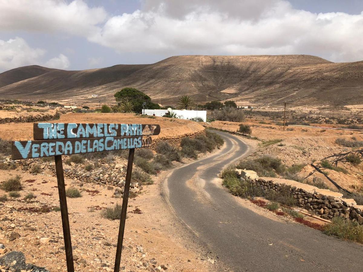 Vereda De Las Camellas Hotel Пуерто дел Росарио Екстериор снимка