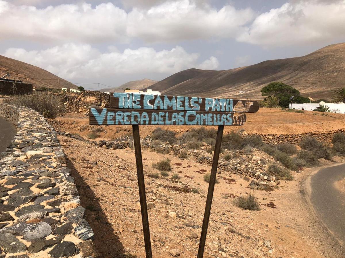 Vereda De Las Camellas Hotel Пуерто дел Росарио Екстериор снимка